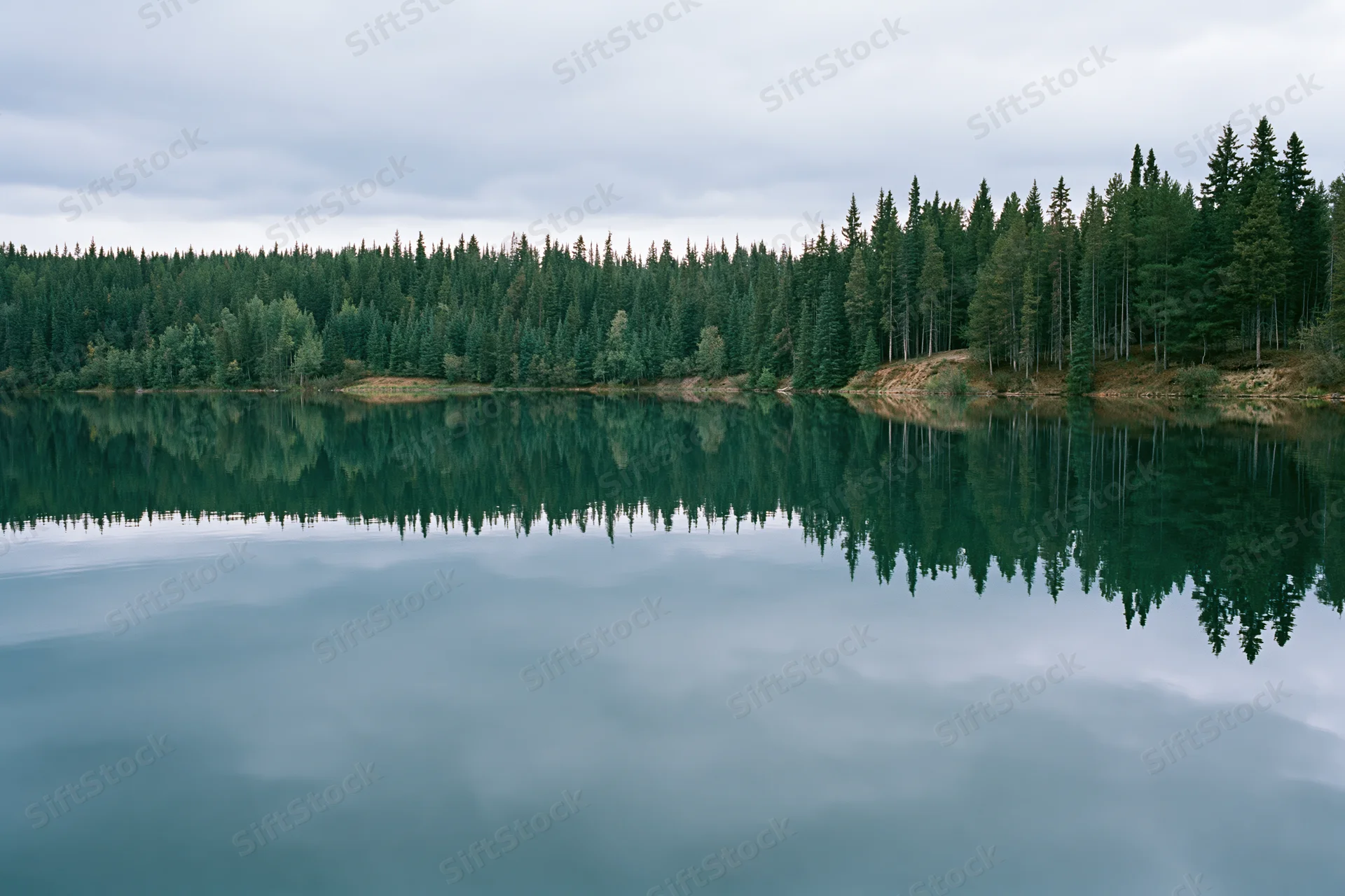 Still glacial lake reflecting dense boreal forest under overcast sky