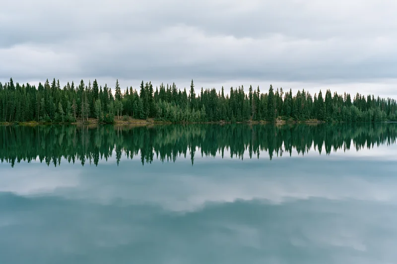 Still glacial lake perfectly mirroring dense boreal forest under overcast sky