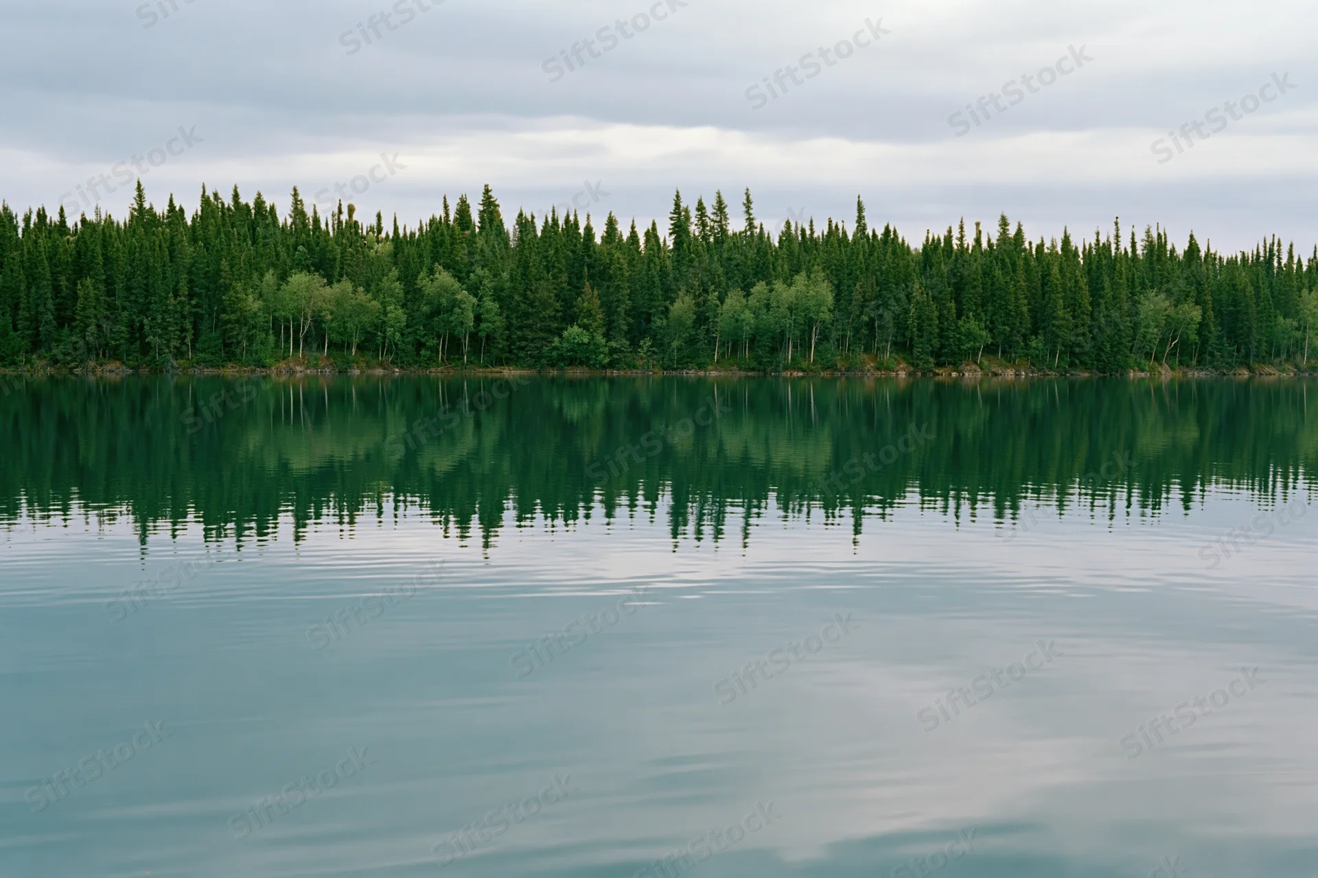Still glacial lake reflecting dense boreal forest under overcast sky