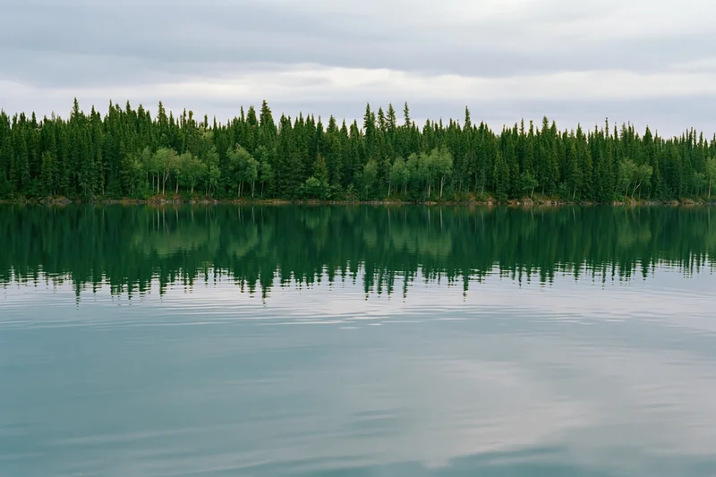 Still glacial lake reflecting dense boreal forest under overcast sky