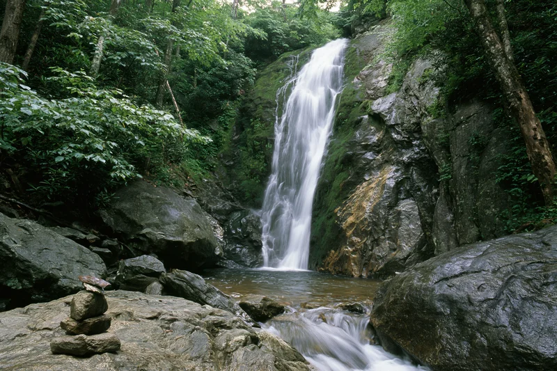 Waterfall cascading down moss-covered rocks in a dense forest surrounded by trees and boulders