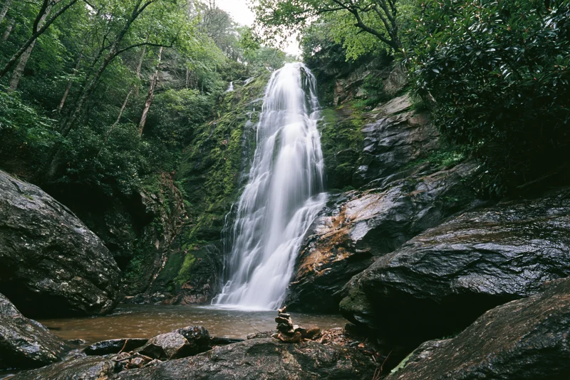 Waterfall cascading down moss-covered rocks in a dense forest valley