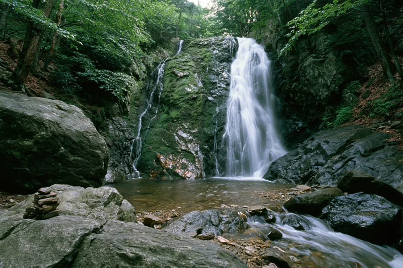 Waterfall cascading down moss-covered rocks in a dense forest with a stream flowing below