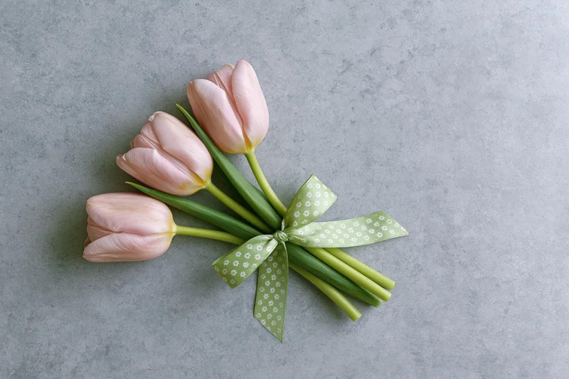 Three pale pink tulips tied with a green polka-dot ribbon on a gray concrete surface