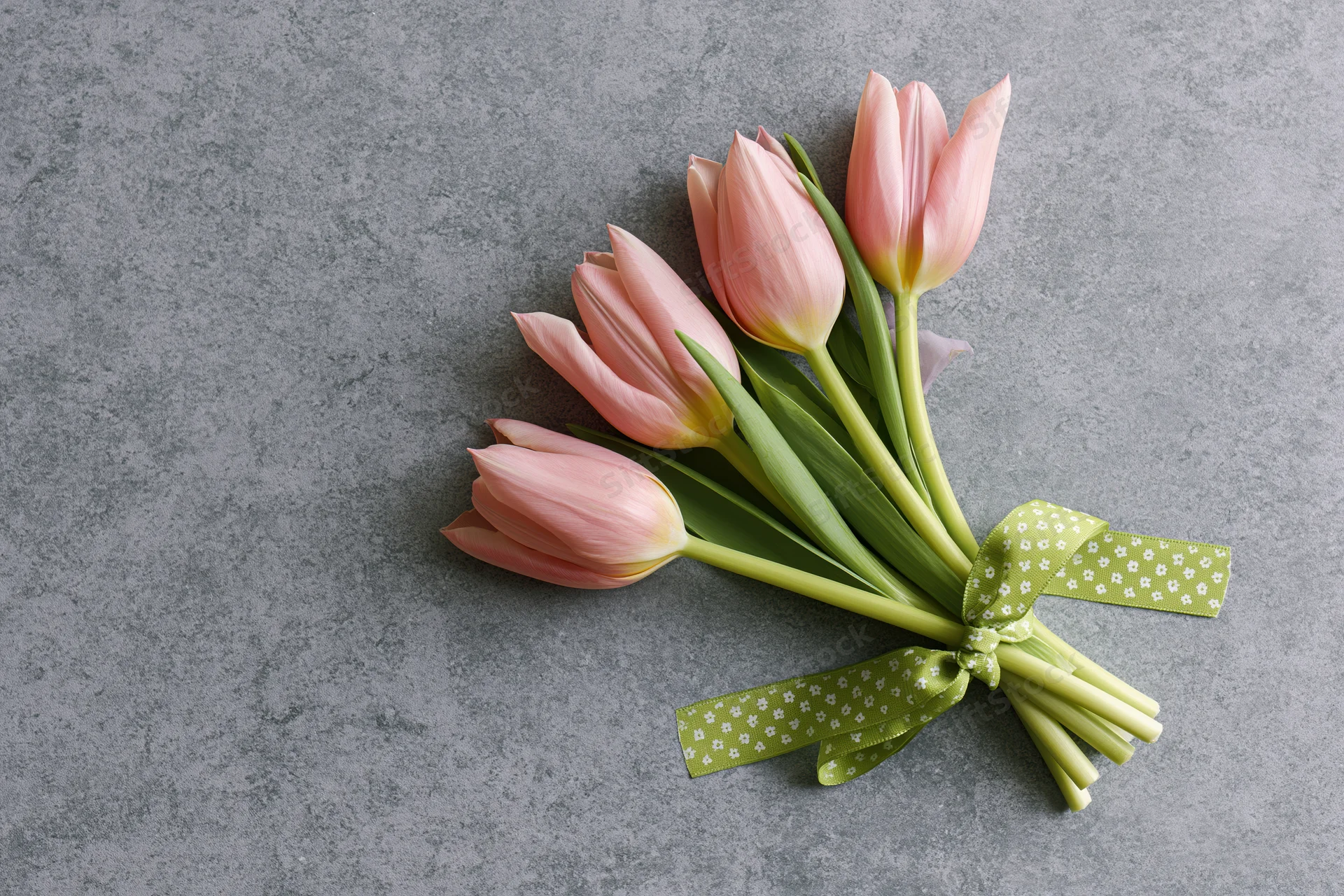 A bouquet of pale pink tulips tied with a green polka-dot ribbon on a gray textured surface