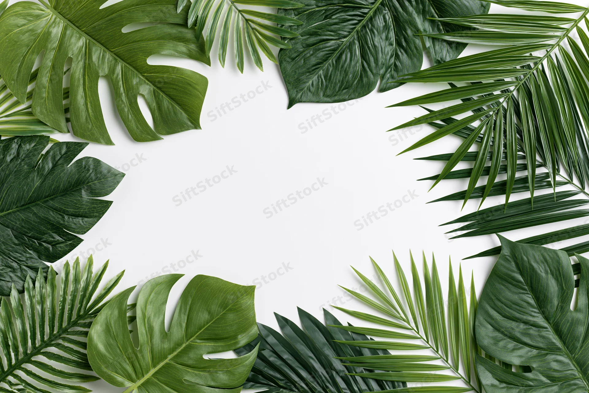 Tropical leaves arranged as a flat lay border frame on white background