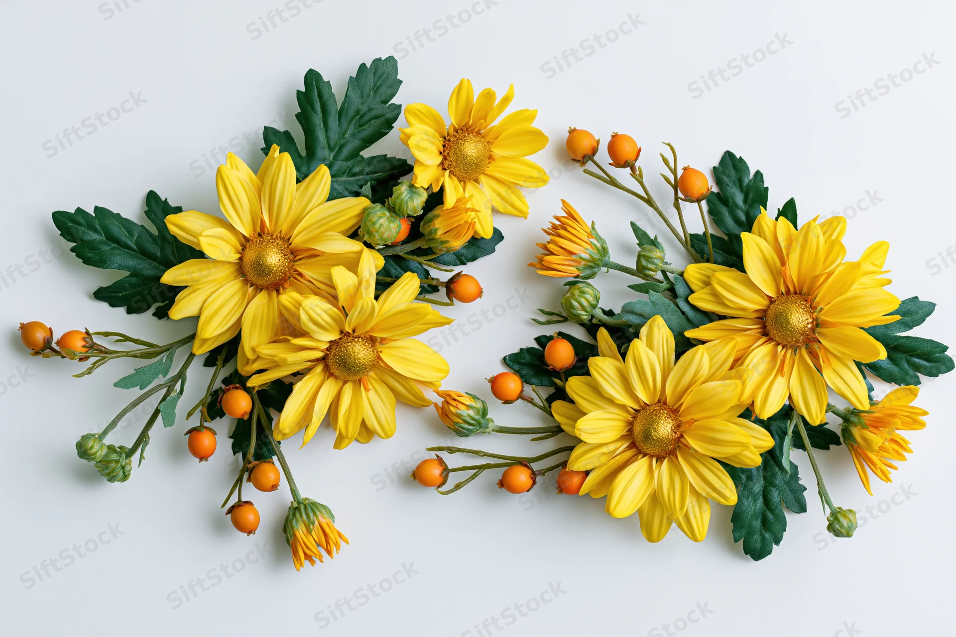 Two clusters of bright yellow daisy-like flowers with green leaves and orange berries arranged on white background