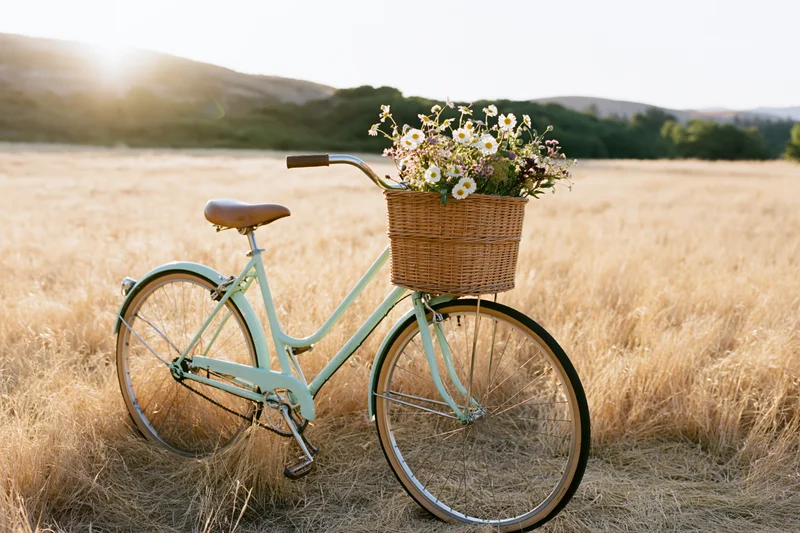 Vintage mint-green step-through bicycle with wicker basket of wildflowers parked in a dry grass field at golden hour