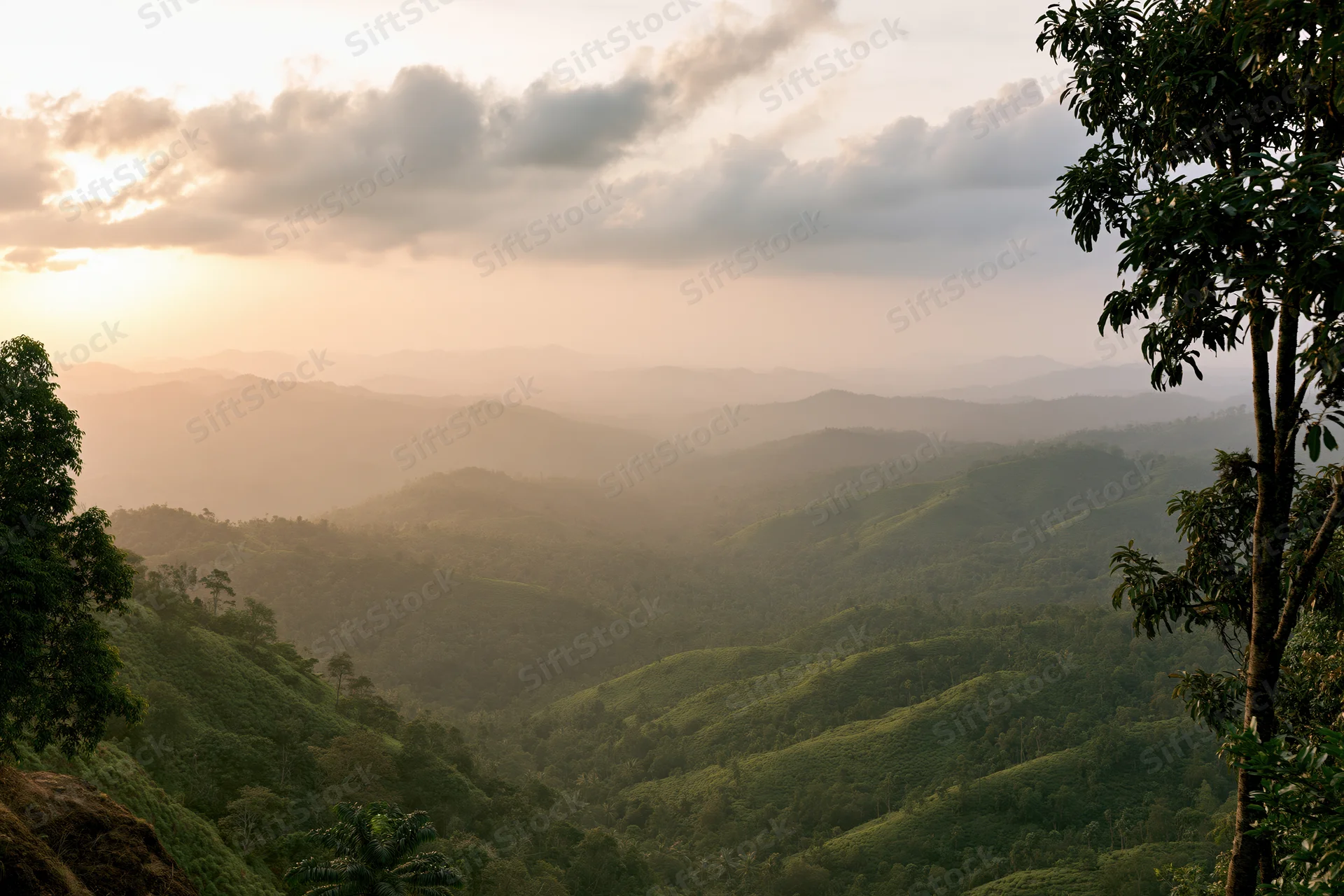 Panoramic view of layered green mountain ridges receding into misty valley at sunset