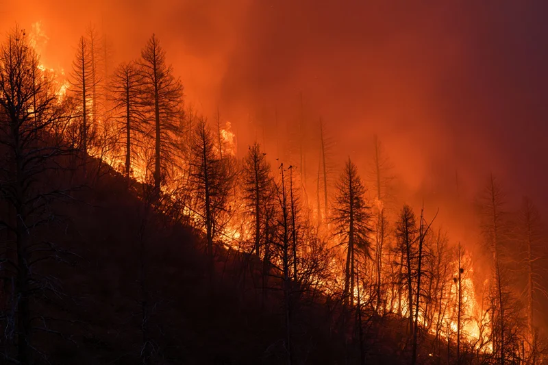 Wildfire burning through a forested hillside at night, flames consuming trees and filling the sky with smoke