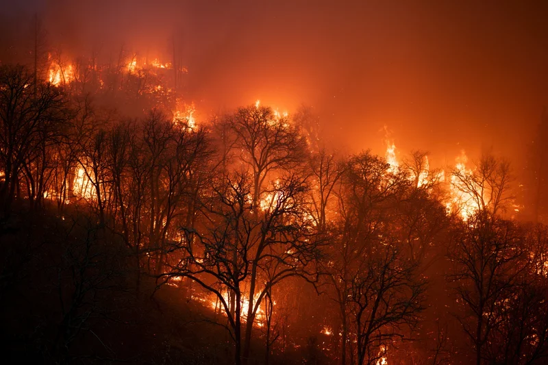 Wildfire burning through forested hillside at night