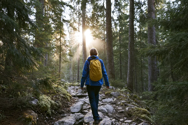 Woman hiking alone on rocky forest trail with backpack, sunlight filtering through trees