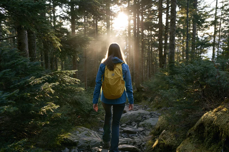 Woman hiking alone on a rocky forest trail with sunlight filtering through trees