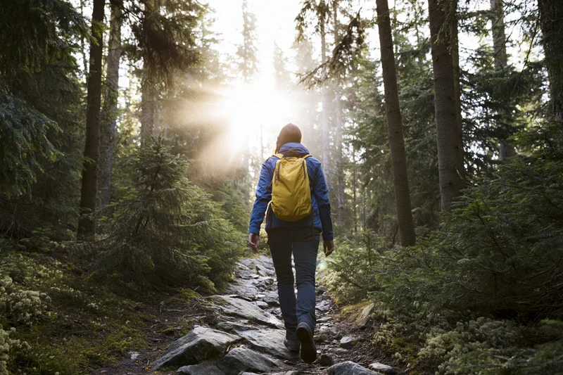 Woman hiking alone on rocky forest trail with backpack, sunlight filtering through trees