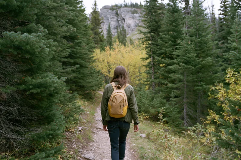 Woman with backpack walking along forest trail toward mountain in autumn