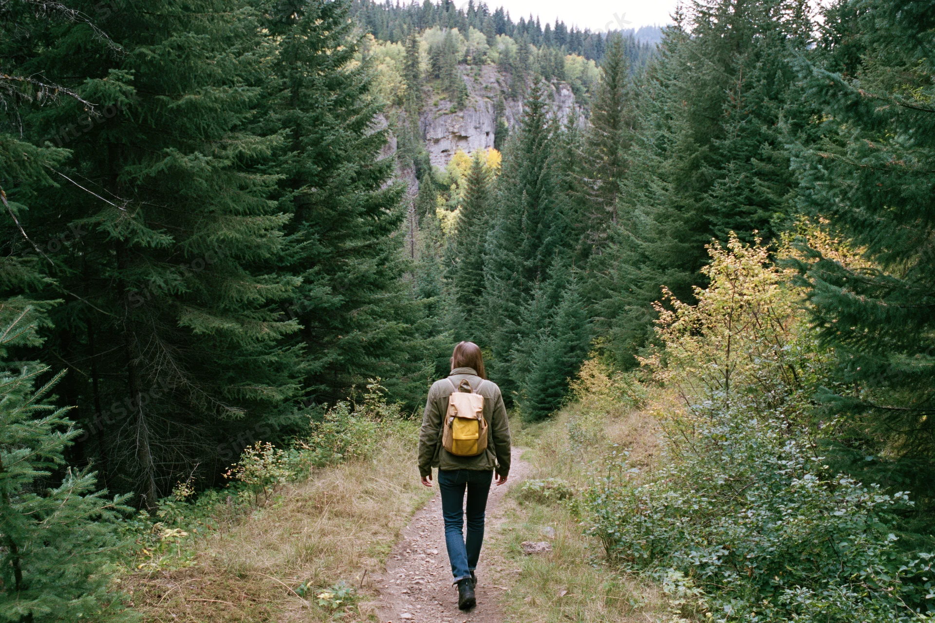 Woman hiking on a forest trail with a small backpack, surrounded by pine trees and autumn foliage