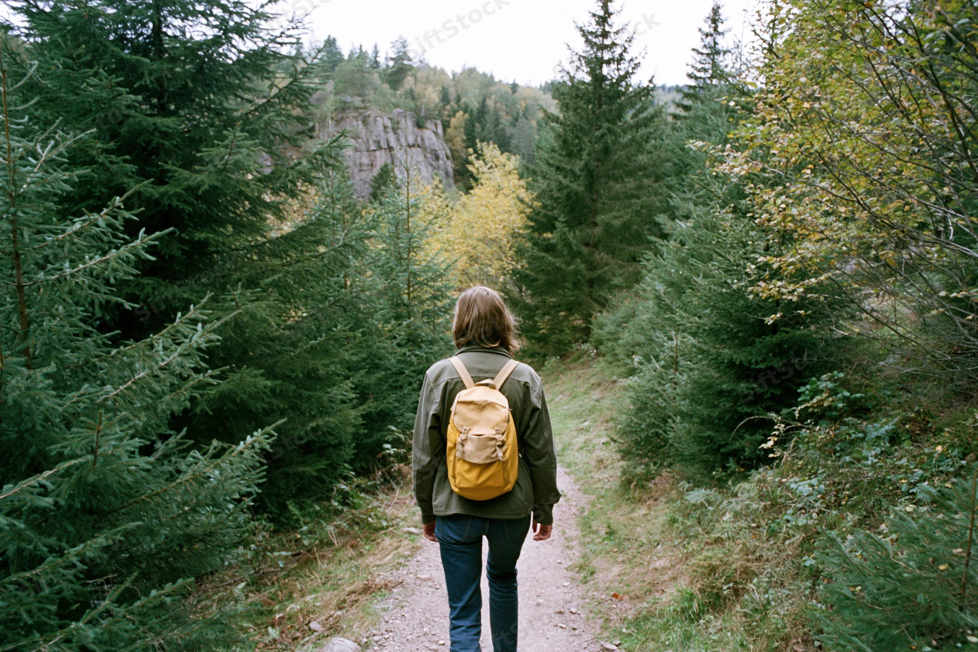 Woman with small backpack walking away on forest trail surrounded by pine trees and autumn foliage