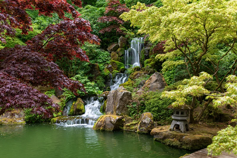 Cascading waterfall flowing over mossy rocks in a Japanese garden with maple trees and a stone lantern beside a pond