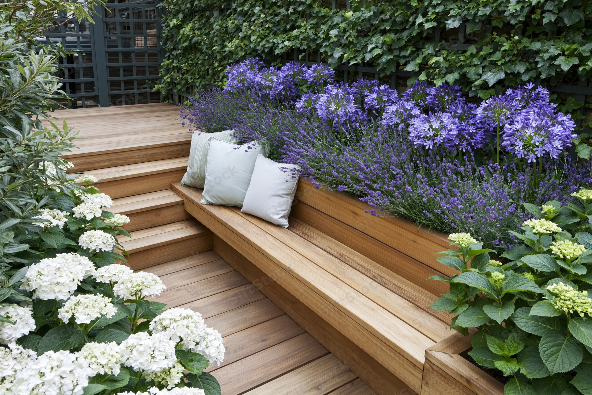 Built-in hardwood bench with cushions on a wooden terrace surrounded by lavender, hydrangea and ivy