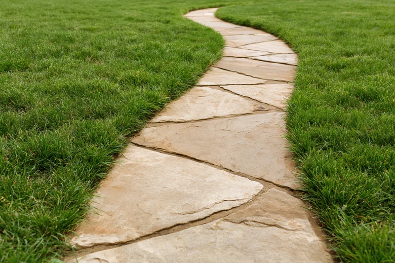 Curved flagstone path winding through a green lawn in a garden setting