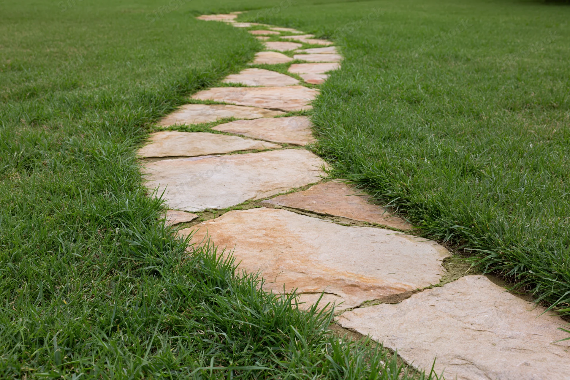 Curved flagstone path winding through green lawn in garden