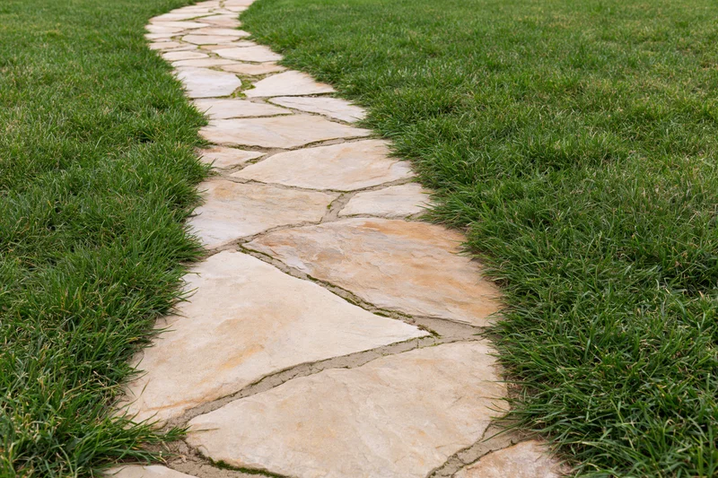 Curved flagstone path winding through green lawn in a garden setting