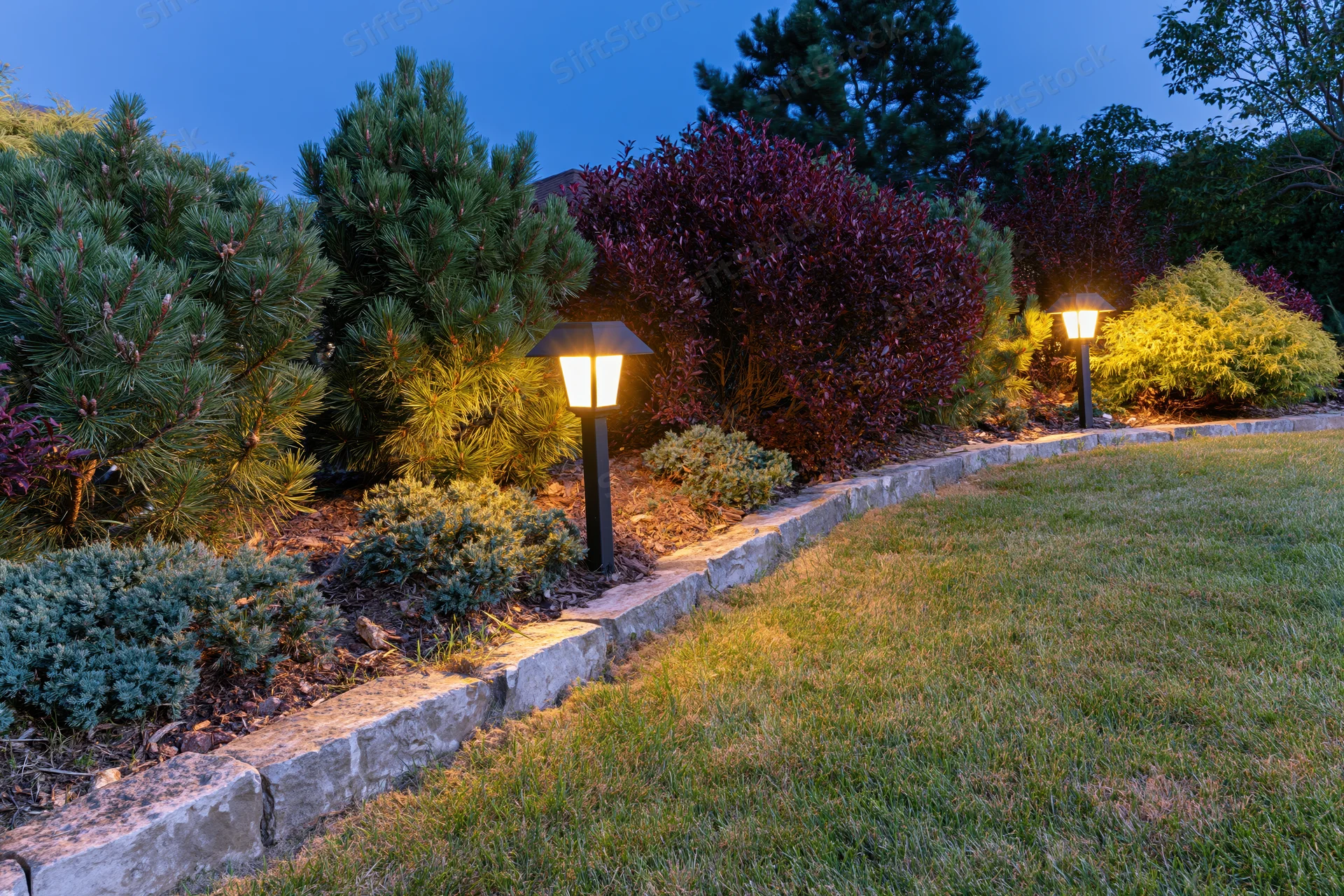 Curved garden bed with ornamental conifers and stone border lit by pathway lights at dusk
