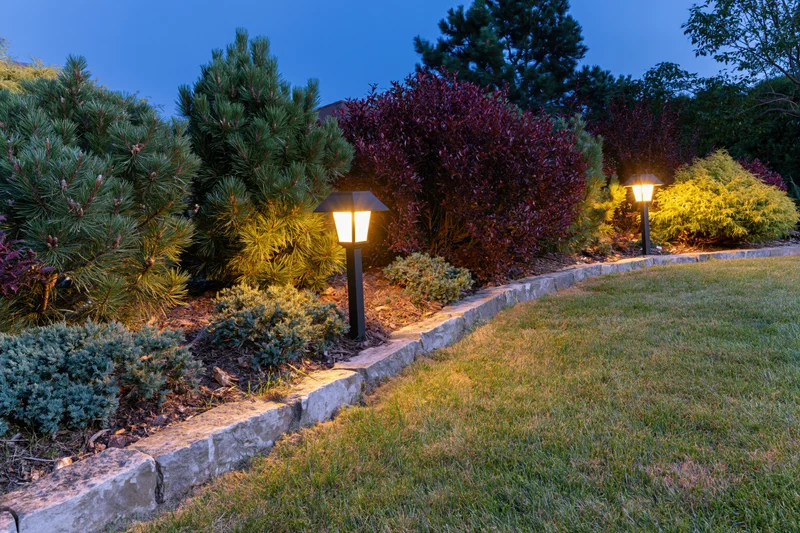 Curved garden bed with ornamental conifers and stone border lit by pathway lights at dusk