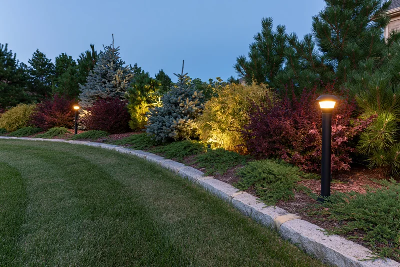 Curved garden bed with ornamental conifers and shrubs illuminated by path lights at dusk