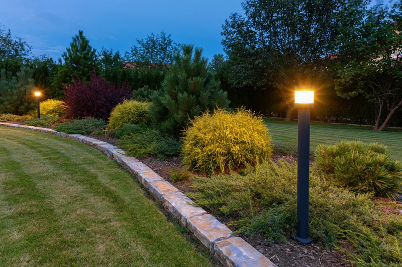 Curved garden bed with ornamental conifers and stone border illuminated by pathway lights at dusk