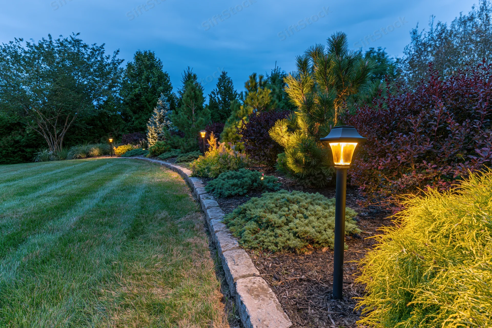 Curved garden bed with ornamental conifers and pathway lighting at dusk