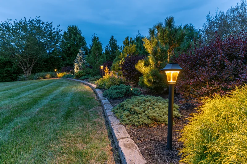 Curved garden bed with ornamental conifers and pathway lighting at dusk