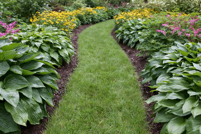 Curved green lawn path winding through garden beds with hosta and colorful flowers