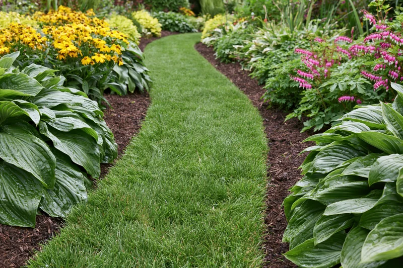 Curved green lawn path winding through flowerbeds with hosta and colorful blooms in a landscaped garden