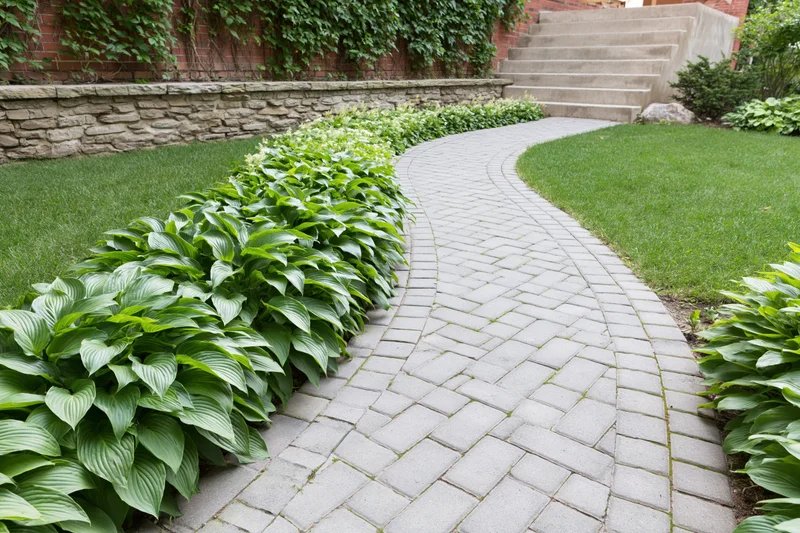 Curved interlocking paver pathway winding through a manicured garden with hosta plants and lawn