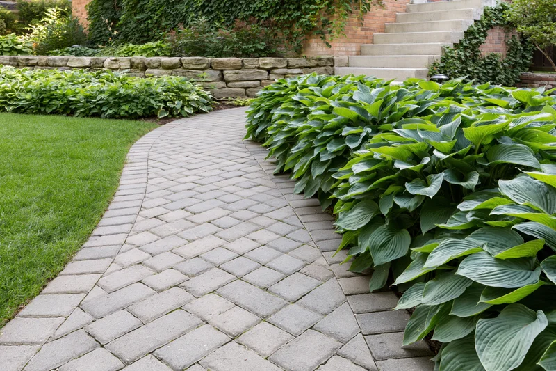 Curved interlocking stone pathway winding through a manicured garden with hosta plants and lawn beside a brick retaining wall and steps