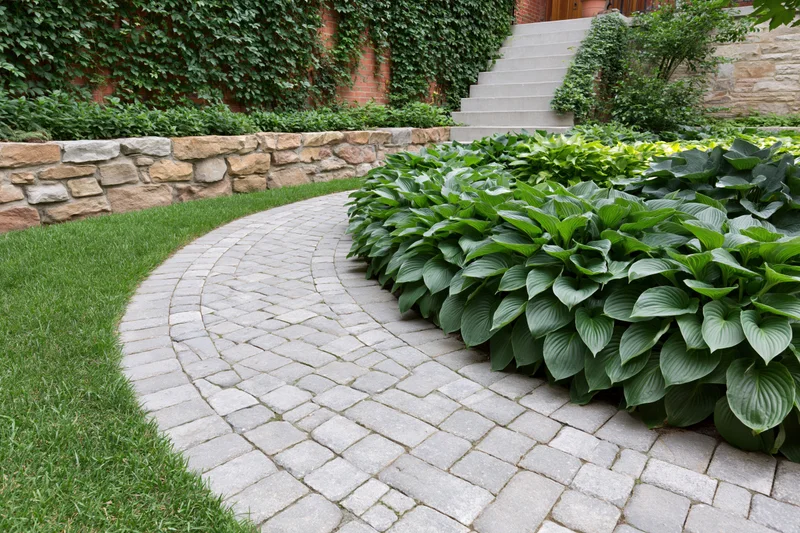Curved stone paver pathway winding through a manicured garden with hosta plants and ivy-covered walls