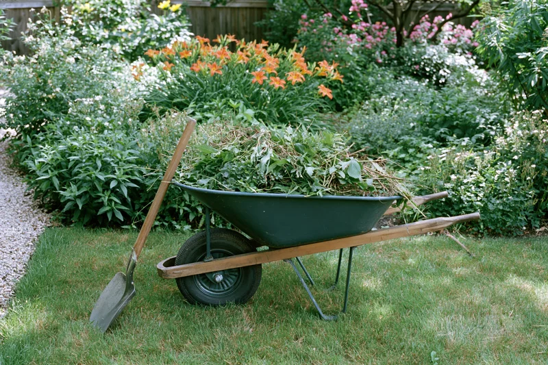 Dark green metal wheelbarrow filled with pulled weeds and garden debris on a grassy lawn beside flowering shrubs and a gravel path