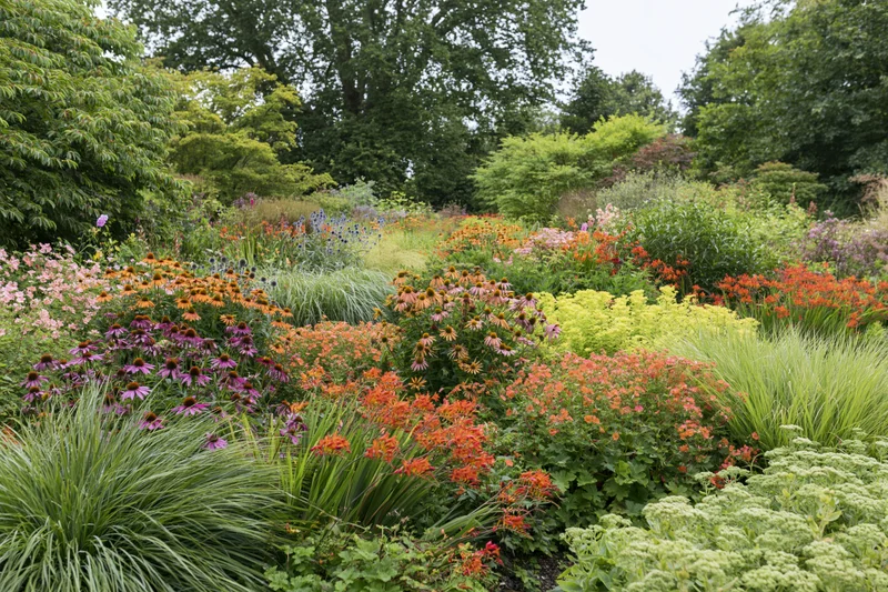 Densely planted perennial border garden in full bloom with colorful flowers and green foliage surrounded by trees
