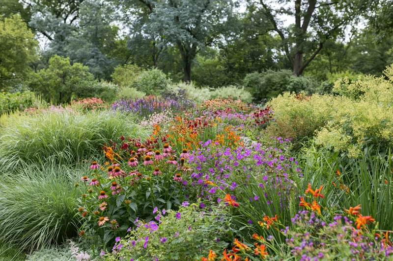 Densely planted perennial garden with blooming flowers and green foliage in a natural outdoor setting