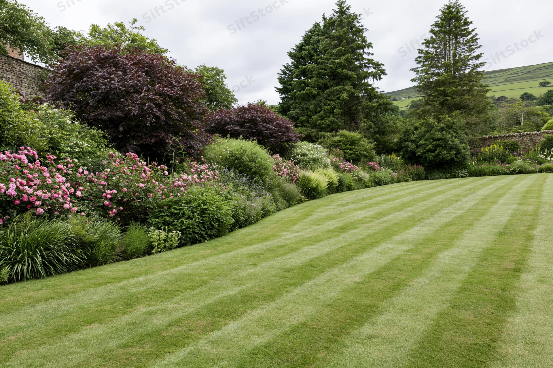 Striped mown lawn in a formal english country garden with flowering shrubs and trees