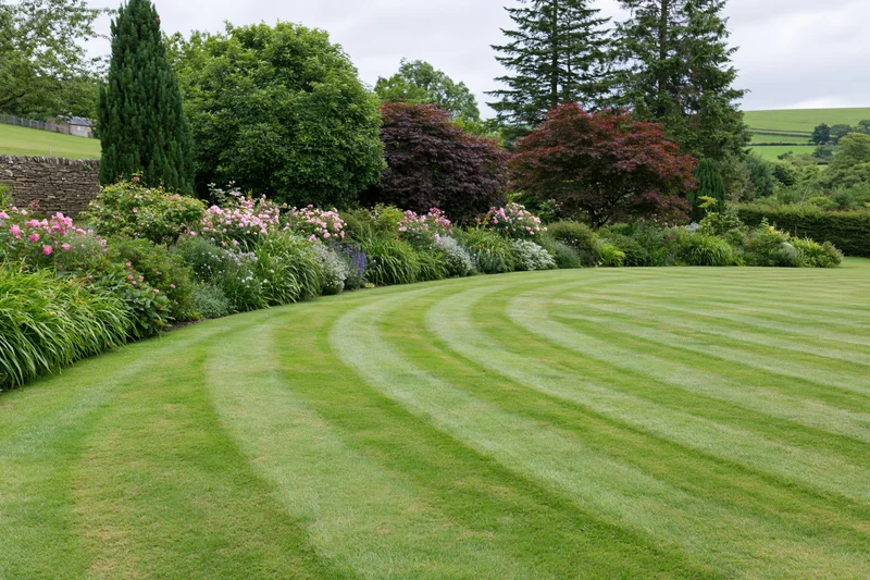 Curved striped lawn bordered by flowering shrubs and trees in a formal english country garden