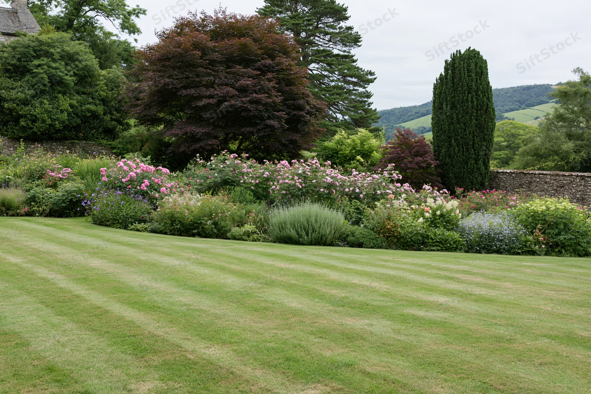 Striped mown lawn in a formal english country garden with flower borders and stone walls