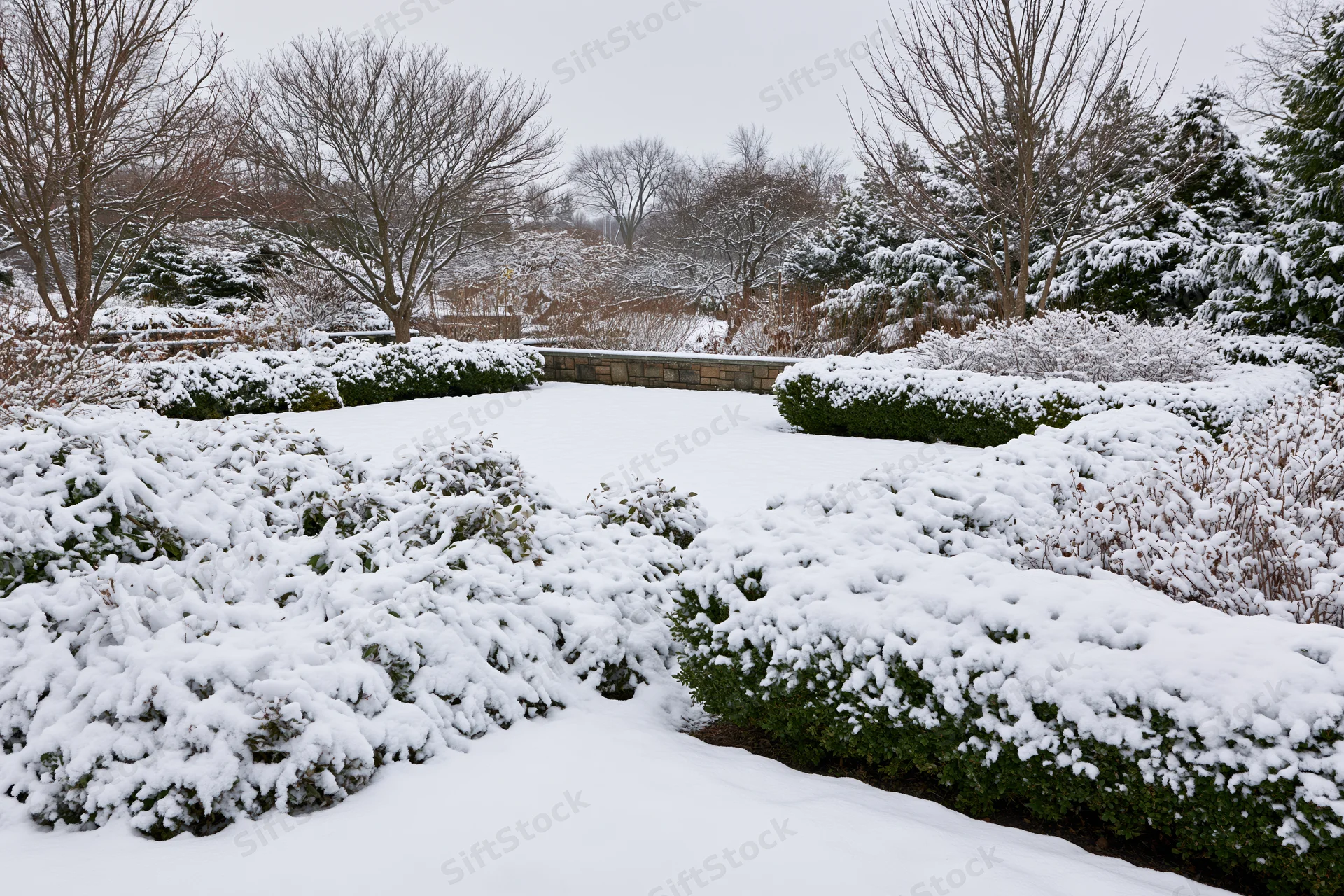 Snow-covered formal garden with trimmed hedges and bare trees under overcast sky