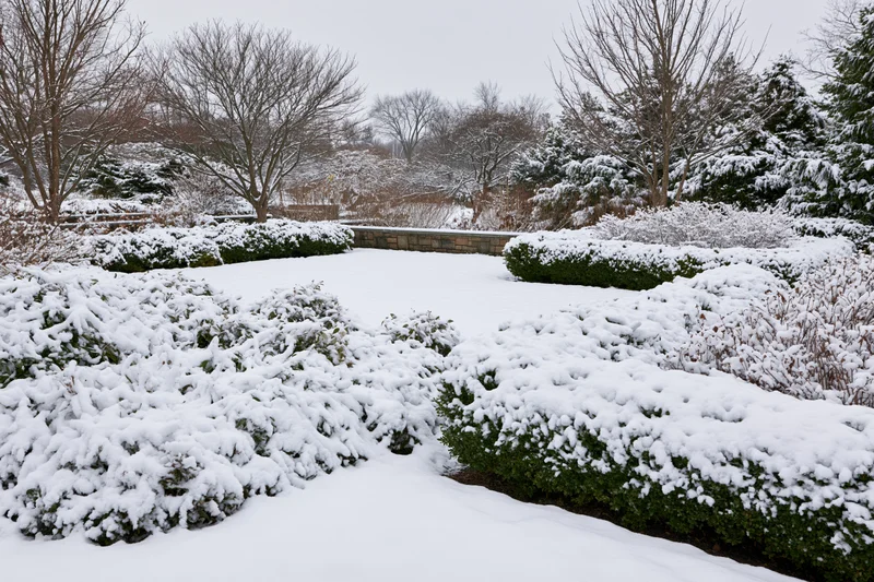 Snow-covered formal garden with trimmed hedges and bare trees under overcast sky