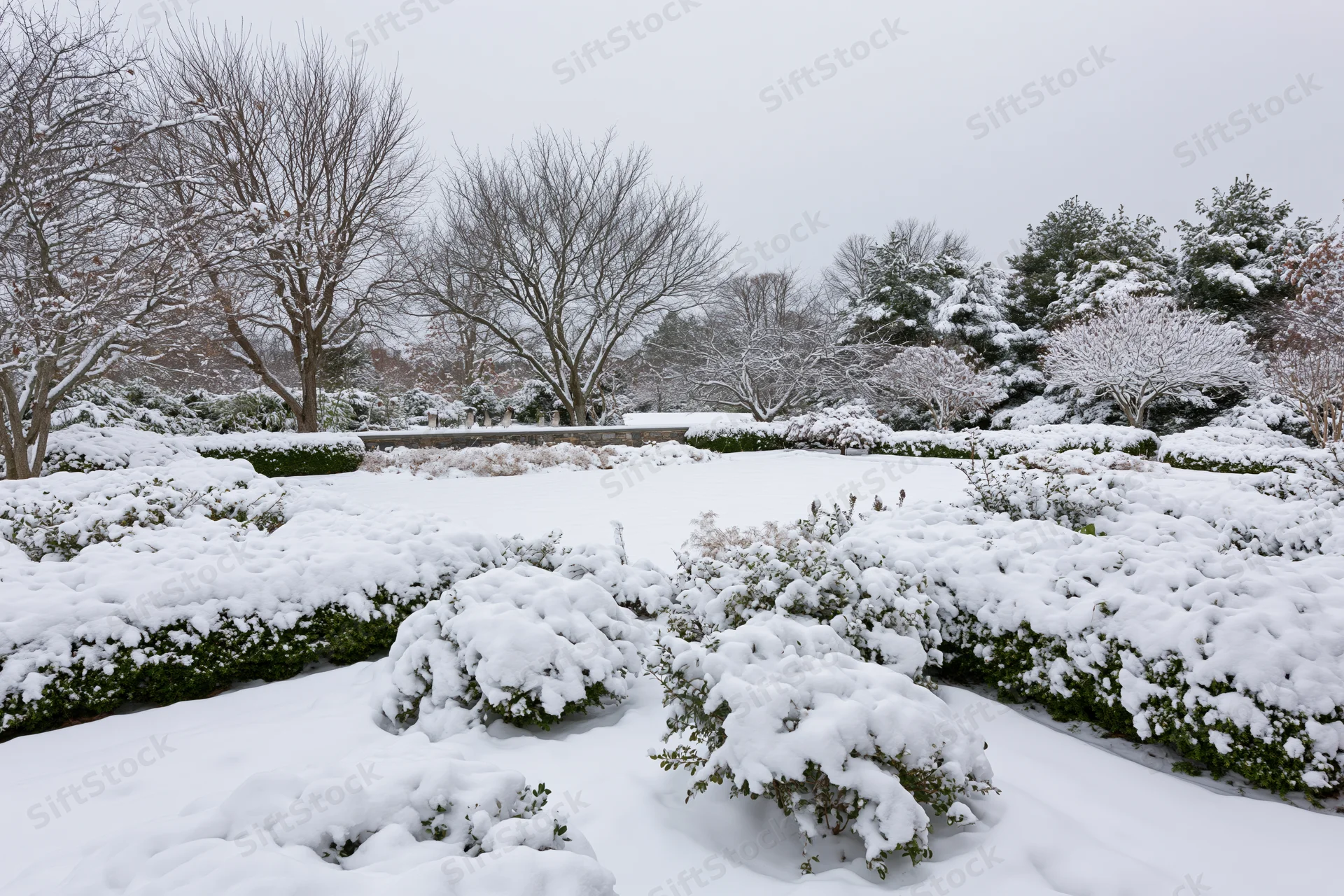 Snow-covered formal garden with hedgerows and bare trees under overcast sky