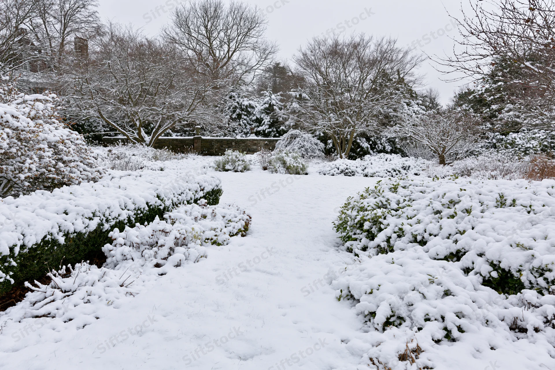 Snow-covered formal garden with hedgerows and bare trees along a path