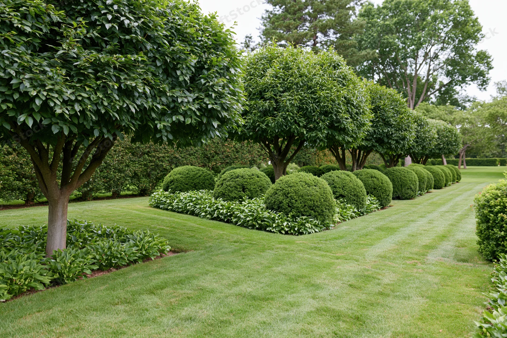 Formal garden with standard-trained trees and rounded shrubs arranged symmetrically along a manicured lawn