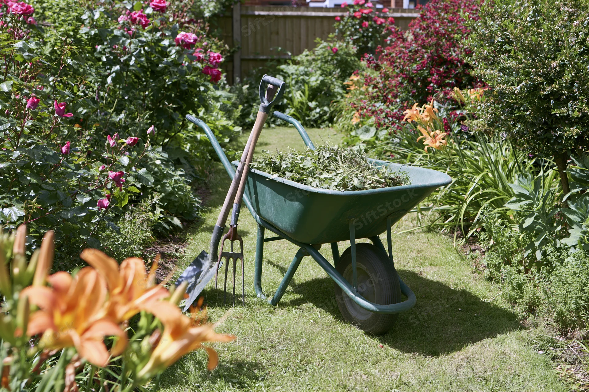 Green metal wheelbarrow filled with garden clippings on grass surrounded by blooming flowers and shrubs
