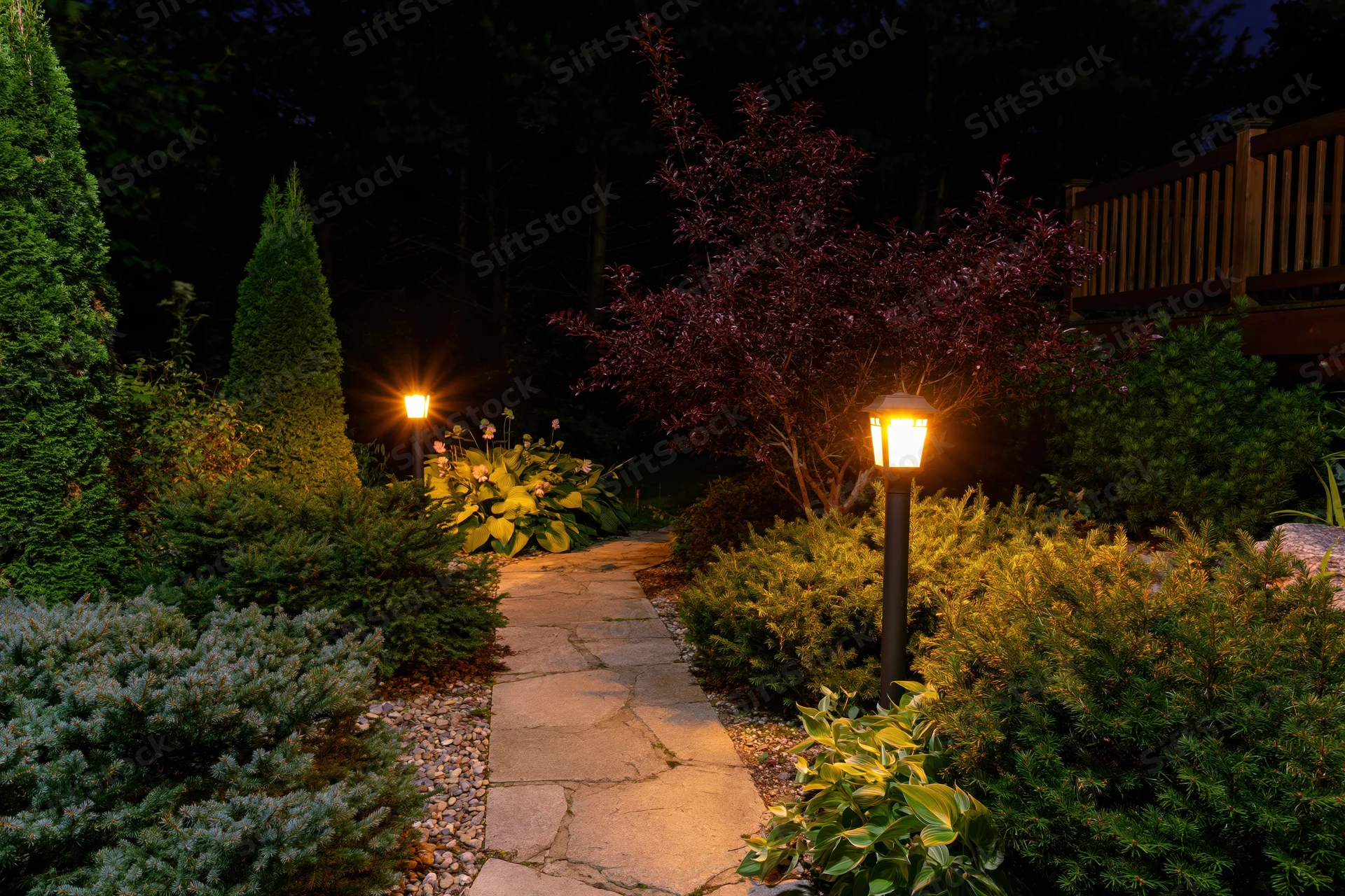 Stone garden path illuminated by bollard lamps at night surrounded by shrubs and evergreens